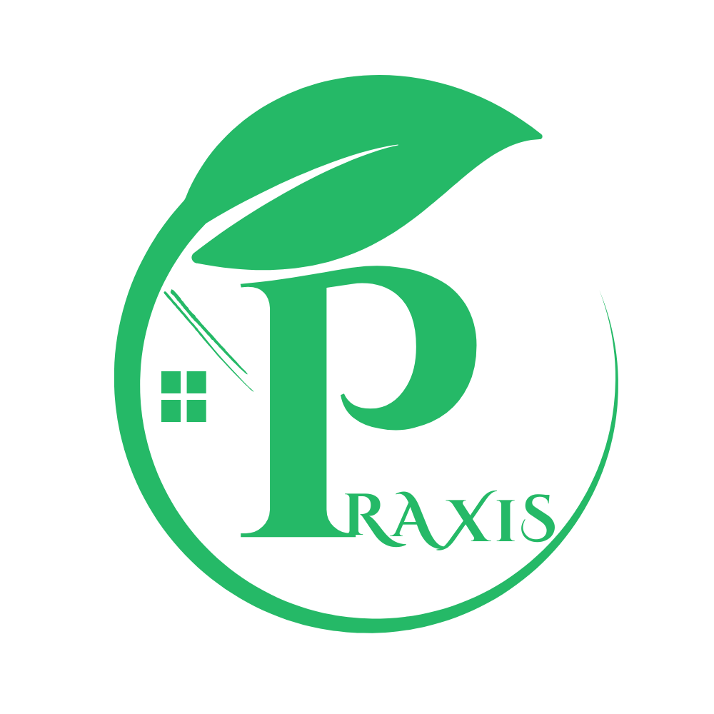 Praxis - M. Guichard Conseils